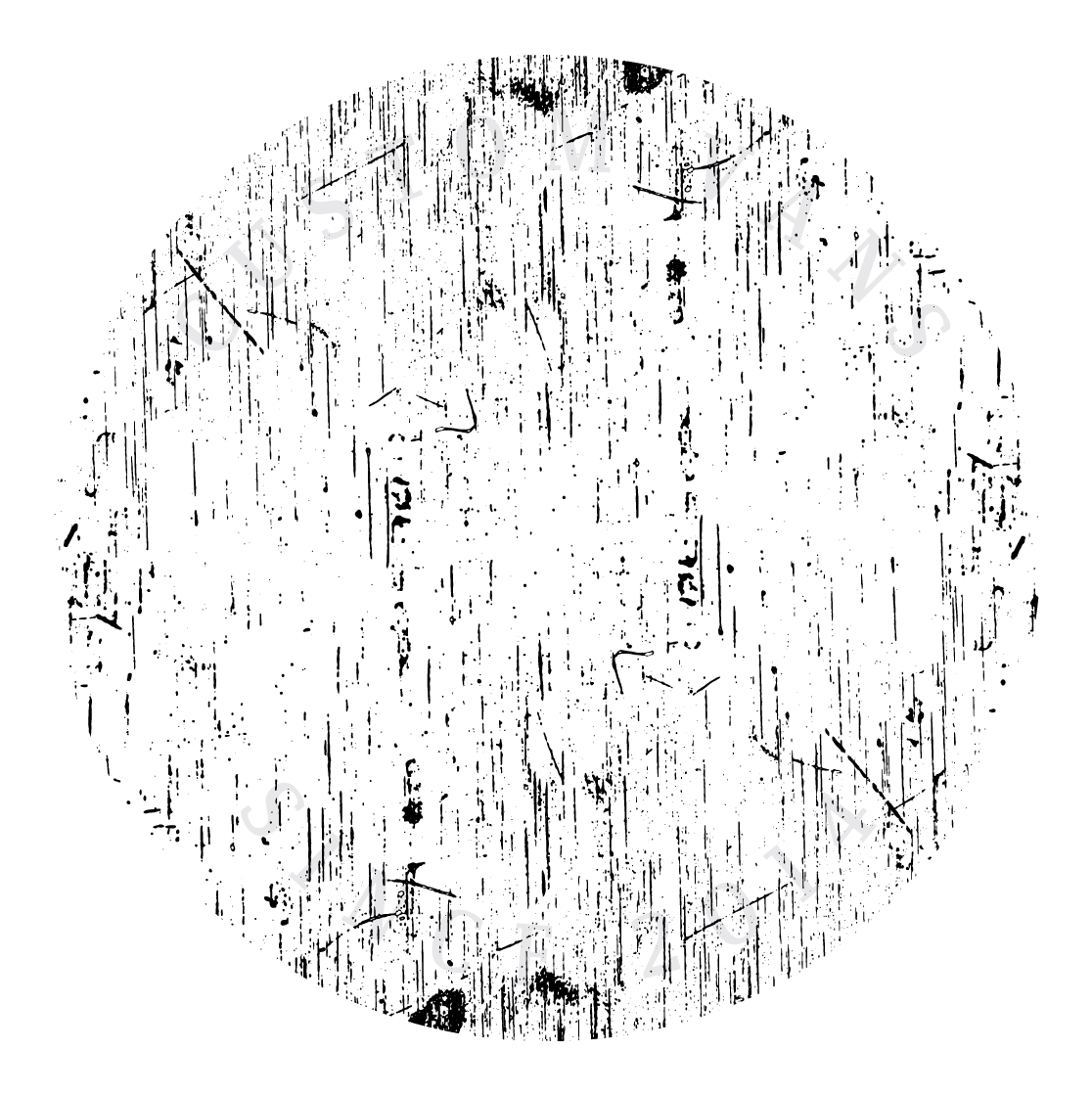 Buba Custom Vans
